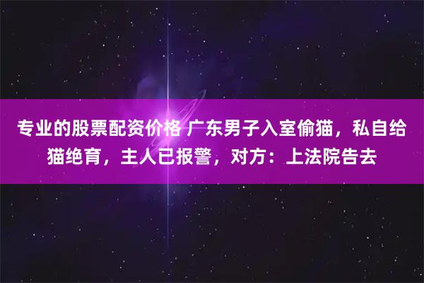 专业的股票配资价格 广东男子入室偷猫，私自给猫绝育，主人已报警，对方：上法院告去